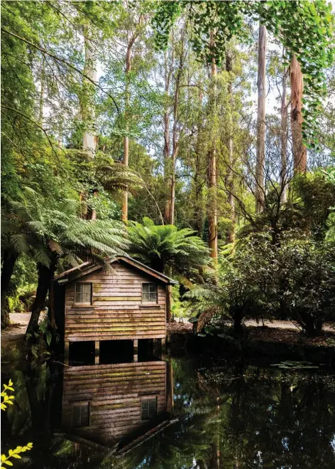  ??  ?? The Dandenong Ranges, VIC, inspired a group of early 20th century nature writers. Pictured here is the boathouse in the Alfred Nicholas Memorial Garden.
