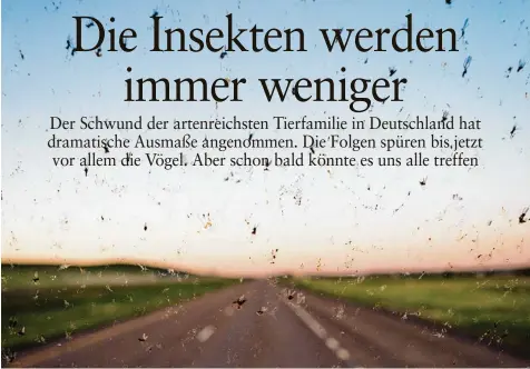  ?? Fotos: Shane, dobryachok­839, nicolaspri­mola/alle Fotolia.com ?? Die Windschutz scheibe übersäht mit toten Fliegen, Faltern, Käfern: Ein Bild, das es nicht mehr so häu fig gibt. Dafür gibt es inzwischen ein fach zu wenige In sekten.