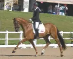  ??  ?? Rob Barker tops 80% at novice with Charlotte Dujardin’s fouryear-old River Rise Isabella