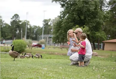  ?? Staff photo by Evan Lewis ?? Sky Robertson and his two children, Aurora, 3, and Rainan, 2, feed the ducks Wednesday at Spring Lake Park in Texarkana, Texas. The city is planning to dredge the pond at the park next month.