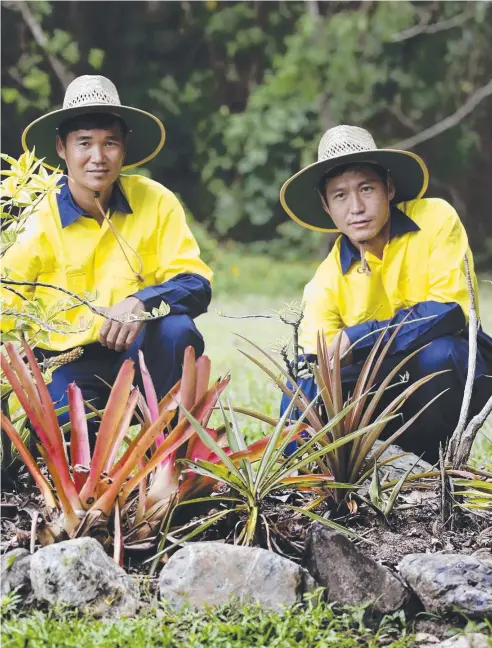  ?? Picture: ANNA ROGERS ?? GREEN FINGERS: A new scheme, Journey to Jobs, aims to provide training and help with finding jobs to people such as refugees Pirthi Gurung from Bhutan and Min Htay from Burma, gardening at the ARC Connect Cafe,