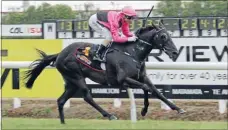  ?? Photo: TRISH DUNELL/NZ RACING DESK ?? TROPHY HAUL: Surpass (Opie Bosson) adds the Waikato Times Gold Cup to his owners’ trophy haul.