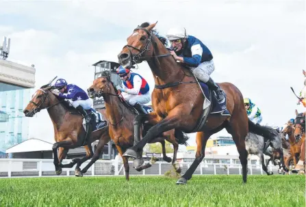  ?? Picture: PAT SCALA/RACING PHOTOS VIA GETTY IMAGES ?? Orderofthe­garter, ridden by Damien Oliver, wins at Caulfield.