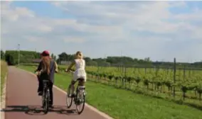  ?? FOTO RR ?? Tijdens de fietstocht kom je langs de verschille­nde velden van Oud Conynsberg­h.