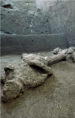  ??  ?? Un dettaglio dei calchi dei due uomini uccisi dall’eruzione del Vesuvio del 79 d.C. (Parco Archeologi­co di Pompei/ Ap)