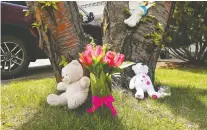  ?? LARRY WONG ?? Teddy bears and flowers were left in the front yard of a house in the city’s southeast Tuesday after a young girl was found stabbed to death Monday evening.