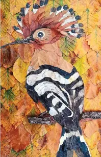  ?? ?? A super-duper hoopoe: An exotic chap with a delicately crafted and rather fabulous crown