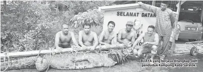  ??  ?? BUAYA yang berjaya ditangkap oleh penduduk Kampung Kaba Saratok.