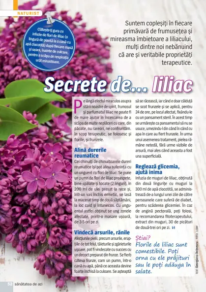  ??  ?? Clătește-ţi gura cu infuzie de flori de liliac (o lingură de plantă la o cană cu apă clocotită) după fiecare masă și seara, înainte de culcare, pentru a scăpa de respiraţia urât mirositoar­e.