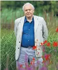  ??  ?? Force of nature: BBC One will celebrate David Attenborou­gh’s 90th birthday