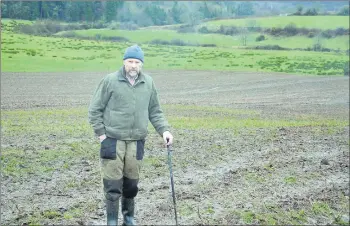  ?? (Pic: John Ahern) ?? MAKING A STAND: Organic farmer, Frank Shinnick, standing in a field where kale, rape and stubble turnips were sown, these organic crops supplement­ed his cows’ winter feed. A delay in delivering a quantity of organic seed is now threatenin­g the viability of his farm.