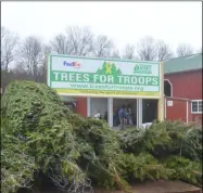  ?? LAUREN HALLIGAN - MEDIANEWS GROUP ?? Trees For Troops has a mission of delivering the spirit of Christmas to military families, one Christmas tree at a time.