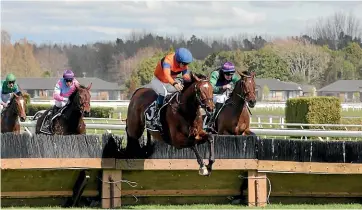  ?? TRISH DUNELL ?? Abu Dhabi on the way to victory in the Great Northern Hurdle at Te Rapa yesterday.