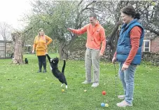  ?? ?? Vicki Edwards, Alan Lewis and Tina Lewis play with some of the cats.