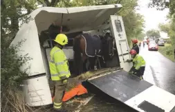  ??  ?? The horse in this trailer was lucky to avoid any serious injuries
