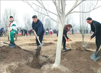  ?? XIE HUANCHI / XINHUA ?? President Xi Jinping pitches in at a tree planting activity in Beijing’s Tongzhou district on Monday. He said such efforts will greatly benefit future generation­s.