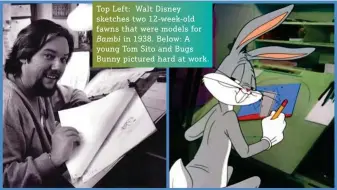  ?? ?? Top Left: Walt Disney sketches two 12-week-old fawns that were models for Bambi in 1938. Below: A young Tom Sito and Bugs Bunny pictured hard at work.