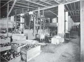  ?? FOTOGRAFÍA DE FERNANDO ZAMORA. ?? El interior de la Cervecería Traube, en barrio Amón; imagen tomada hacia 1908.