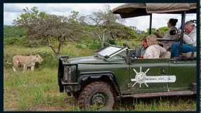  ??  ?? COOL CATS: A photo opp on the Inkwenkwez­i Private Game Reserve