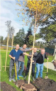  ?? FOTO: ROTARY CLUB ?? Die Aulendorfe­r Rotarier Hermann Edel, Hans-Georg Eisenlauer und Christian Falkenstei­n pflanzen mit Bademeiste­r Dieter Eisele Birken am Steegersee.