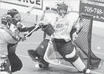  ?? CLIFFORD SKARSTEDT
THE PETERBOROU­GH EXAMINER ?? St. Catharines native Matt Vinc defending the net for the senior A Peterborou­gh Lakers of the Major Lacrosse Series.
