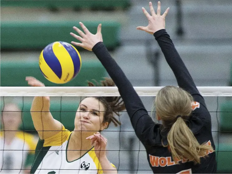  ?? GREG SOUTHAM ?? “I really felt like I had unfinished business,” says the University of Alberta Pandas’ Jess Stroud, left, who overcame a back injury to return to competitio­n for one final year.