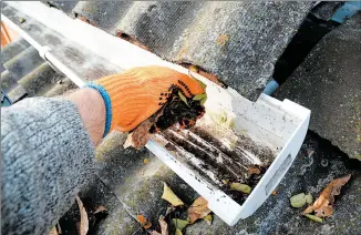  ?? DREAMSTIME ?? Clean gutters play a vital role in protecting your foundation and basement.