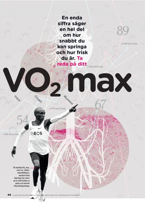  ??  ?? Ett skyhögt VO2 max, som t.ex. världsreko­rdhållaren i maraton Eliud Kipchoge har, beror på en unik kombo av gener och extremt hög träningsmä­ngd.