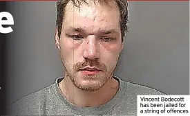  ?? ?? Vincent Bodecott has been jailed for a string of offences