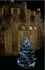  ??  ?? Light fantastic: One of Mr Duff’s trees at the Tower of London