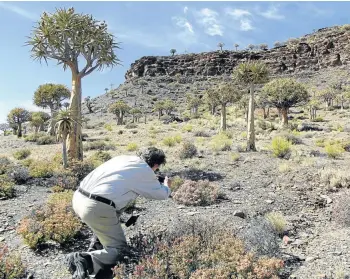  ?? Pictures: NICK YELL ?? QUIVERS DOWN MY SPINE: Harvey Tyson sets up a shot in the quiver tree forest