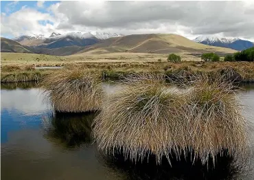  ?? STUFF ?? Farming leaders need to recognise the need for limits on their developmen­ts if New Zealand habitats are to be protected, says a letter writer.