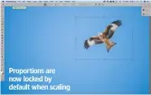  ??  ?? Proportion­s are now locked by default when scaling
