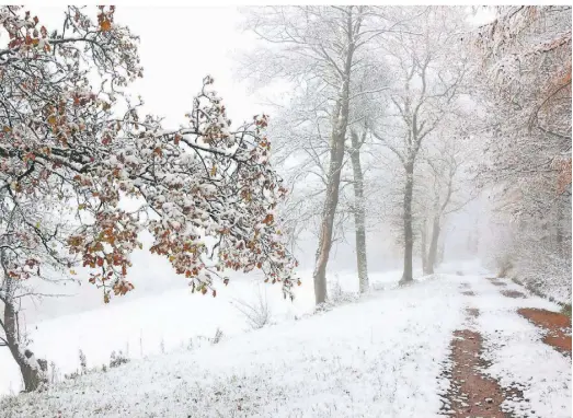  ?? FOTO: RENE TRAUT/IMAGO ?? Anfang der Woche im Siegerland: In Siegen-Oberscheld­en schneite es, dazu kam Nebel.