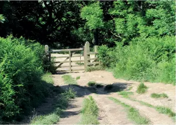  ??  ?? Opposite page above: Heading along the path with Roseberry Topping in sight. Below left: Mum (Helen Bronn) and myself (Leah Bronn) at the carpark. Above left: Kissing gate we passed through. Above right: Walking through the woods.