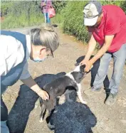  ?? CORTESÍA: NAYELLI FLORES ?? La meta anual es aplicar 25 mil vacunas