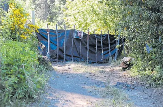  ?? MARIO QUINTEROS ?? Foto. Parte del predio tomado por los mapuches, en Villa Mascardi. Colgaron un cartel con la imagen de Nahuel.