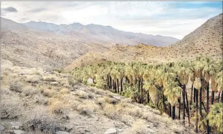  ?? Kent Nishimura Los Angeles Times ?? EXPANSIVE VISTAS on Palm Canyon Trail at Indian Canyons, the ancestral home of the Agua Caliente Band of Cahuilla Indians.