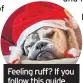  ??  ?? Feeling ruff? If you follow this guide you won’t be