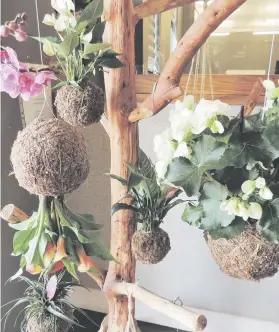  ??  ?? LEFT HANGING. Make a Kokedama string garden.