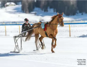  ??  ?? A jockey rides a ski mounted buggy in the harness race