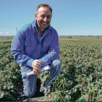  ??  ?? DAF senior extension agronomist, Kerry McKenzie says reducing row spacing to at least 50 cm wide in mungbeans increases yield in all crop situations (Photo Neil Lyon)