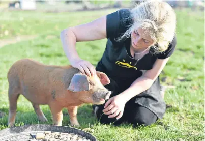 ??  ?? Michelle Anderson-Carroll with one of her pigs.