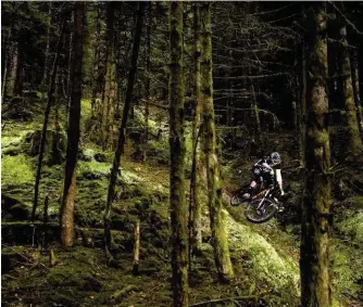  ??  ?? Pierre-charles Georges, Novembre 2015, Saint-dié des Vosges. Canon 1 D-X + 24-70mm - F/2.8 + 2 flashes Canon Tous ceux qui ont déjà roulé dans les Vosges pourront témoigner de l’incroyable terrain de jeu offert par ce massif et par les talents qui y habitent. En tant que photograph­e, la forêt vosgienne est aussi unique que charmante et mystérieus­e. Pierre-charles Georges (a.k.a PICH) sublime la forêt avec le style et la fluidité qui lui sont propres.