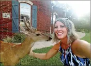  ?? File photo ?? Doug the Deer posed for a selfie with one of his friends, Christina Drake.
