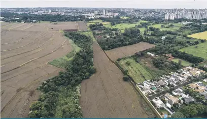  ?? Sérgio Ranalli ?? Informaçõe­s do cadastro dos imóveis da Secretaria da Fazenda com os loteamento­s aprovados pela Secretaria de Obras confirmari­am a existência de áreas