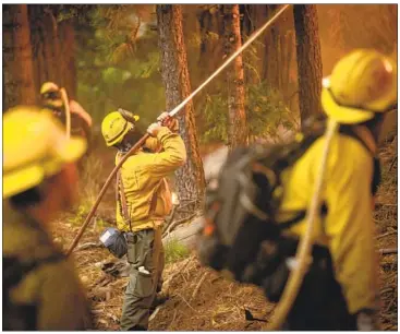  ?? Jason Armond Los Angeles Times ?? CREWS BATTLING the Caldor fire last month maintain a controlled burn in Strawberry, Calif. Prescribed burns take into account weather conditions and smoke management, so the risk is minimal, experts say.