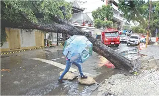  ?? ESTEFAN RADOVICZ / AG?NCIA O D ESTEFAN RADOVICZ / AG?NCIA O D ?? Tijuca foi um dos bairros mais afetados na madrugada e na manhã de ontem: quedas de árvores e bolsões