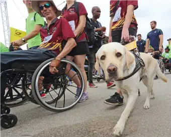  ?? Photos supplied ?? A guide dog leads its owner along the route during a previous OCC.