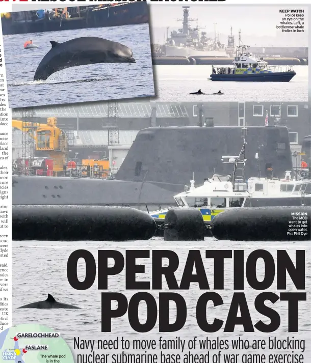  ??  ?? KEEP WATCH Police keep an eye on the whales. Left, a bottlenose whale frolics in loch
MISSION The MOD want to get whales into open water. Pic: Phil Dye